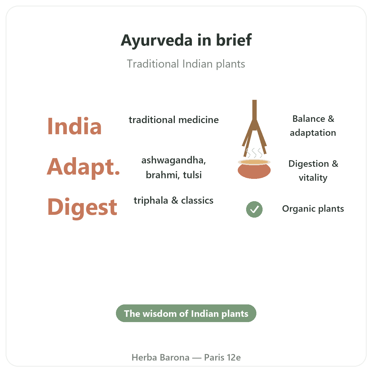 Ayurvedic herbs in Paris at a glance - key facts at Herba Barona Paris 12th