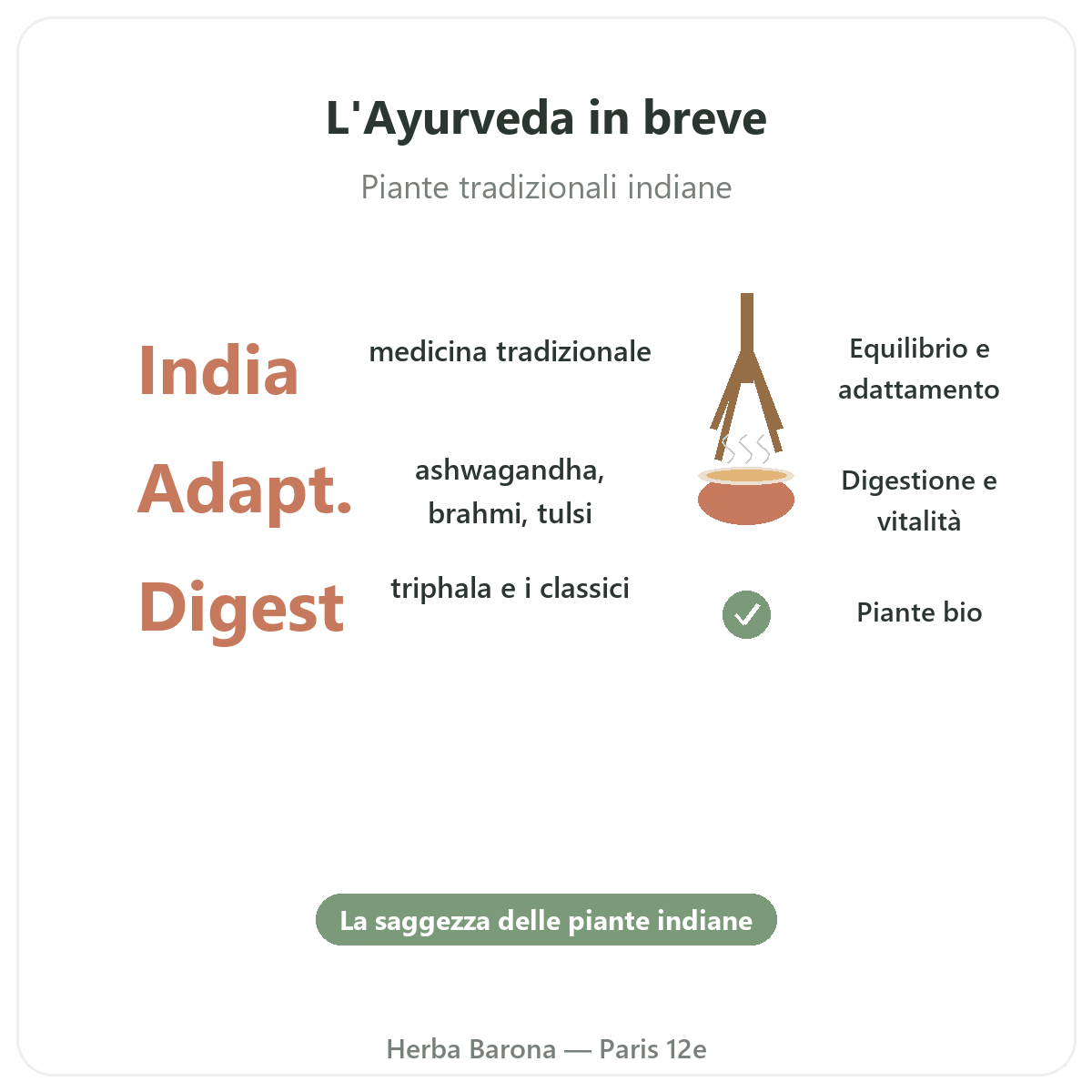 Piante ayurvediche a Parigi in breve - dati chiave da Herba Barona Parigi 12e