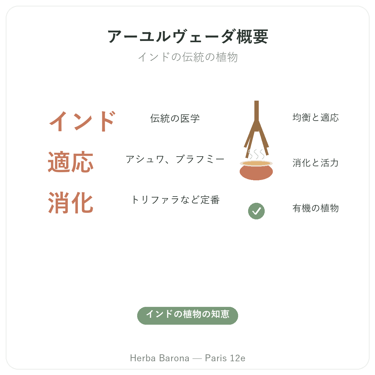 アーユルヴェーダハーブ パリ の概要 - Herba Baronaパリ12区での主要データ