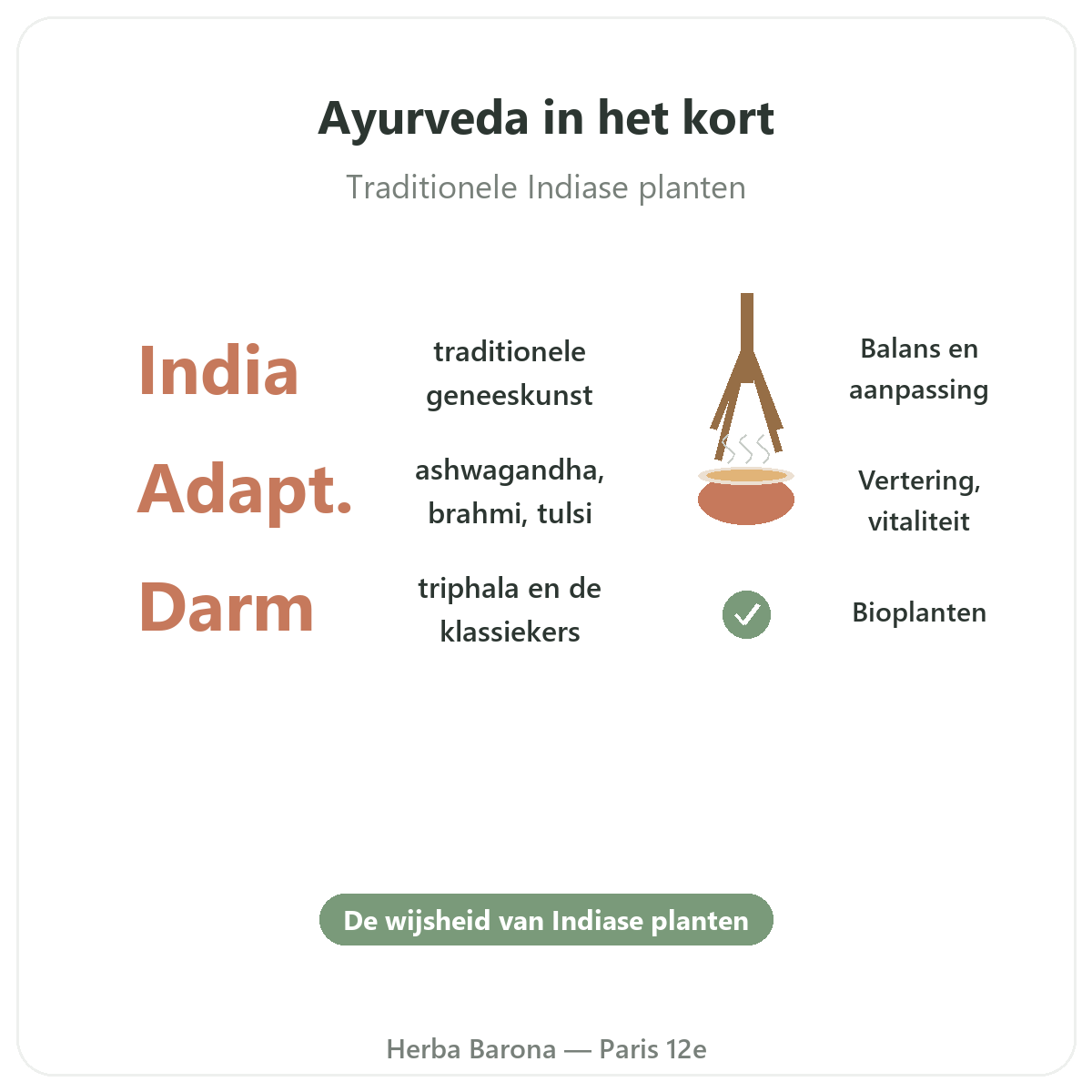 Ayurvedische planten Parijs in het kort - kerncijfers bij Herba Barona Parijs