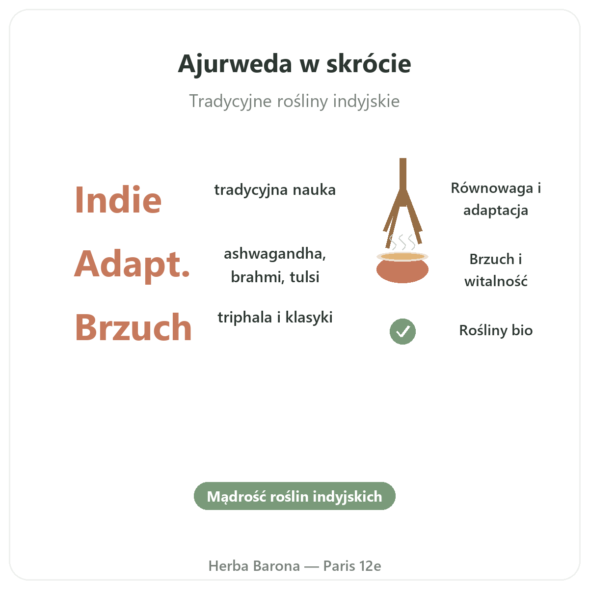 Plantes ayurvediques Paris Paris en bref - chiffres cles chez Herba Barona Paris 12e