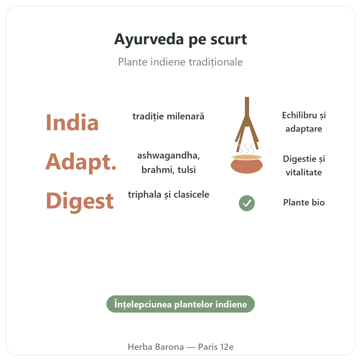 Plante ayurvedice Paris pe scurt - cifre cheie la Herba Barona Paris, arondismentul 12