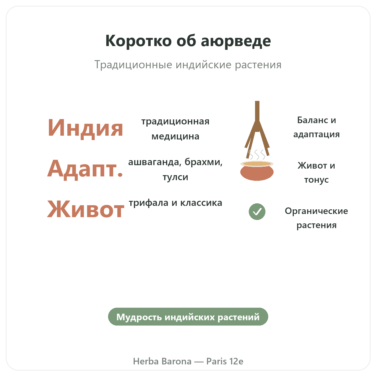 Аюрведические растения Париж вкратце — ключевые цифры в Herba Barona, Париж, 12-й округ