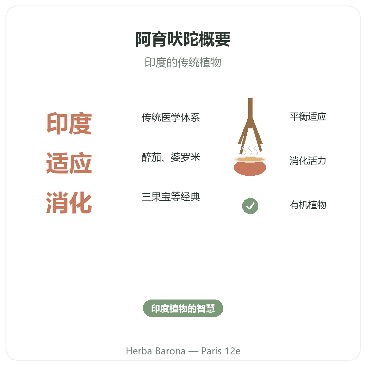 巴黎阿育吠陀草药概览 —— Herba Barona巴黎12区门店关键数据