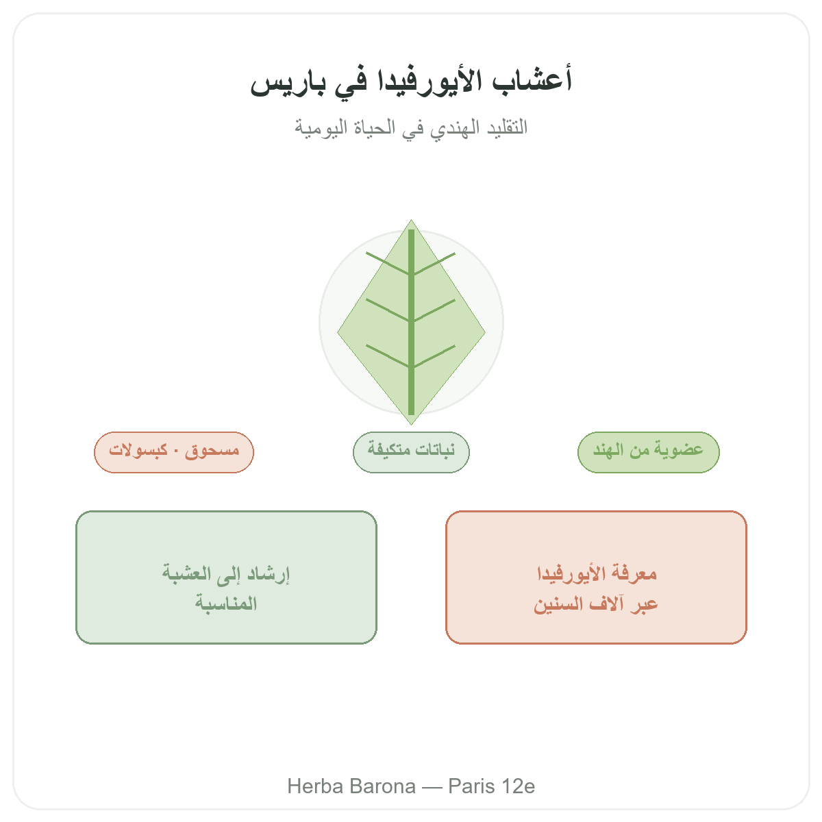 Plantes ayurvediques Paris Paris - presentation de la marque chez Herba Barona Paris 12e