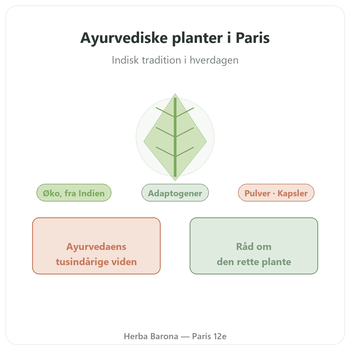 Ayurvediske planter Paris Paris - præsentation af mærket hos Herba Barona Paris 12