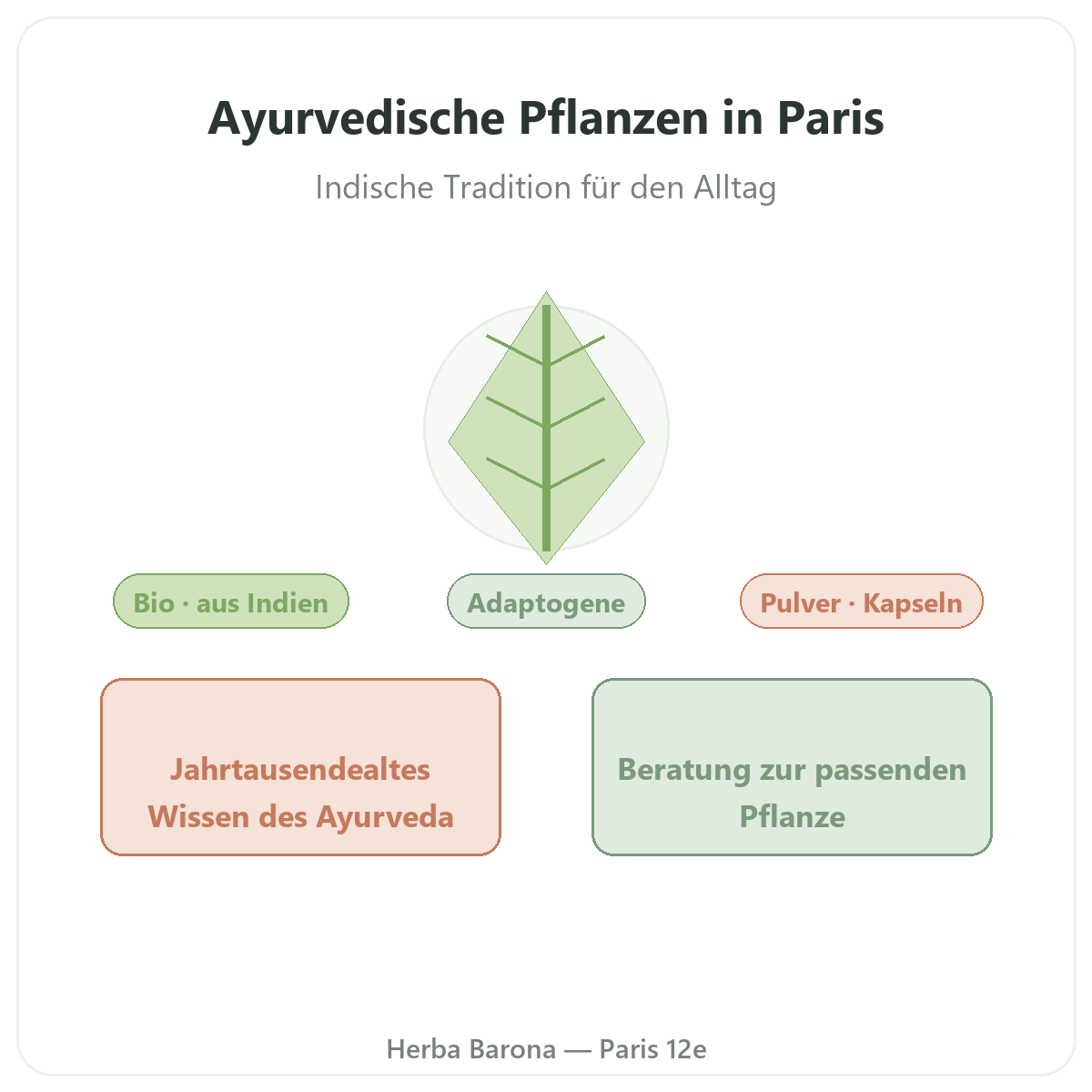 Ayurvedische Pflanzen in Paris – Vorstellung der Marke bei Herba Barona Paris 12e