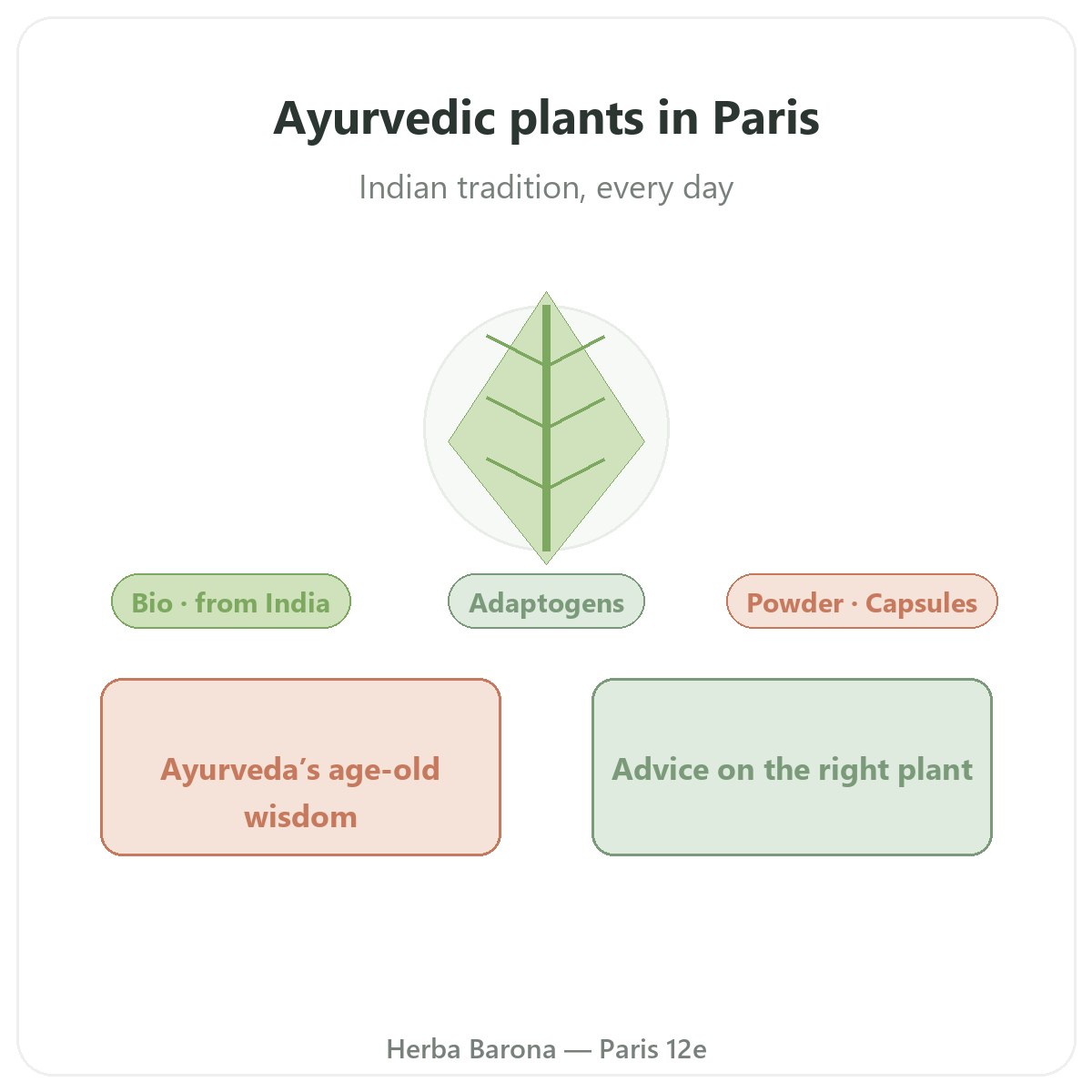 Ayurvedic herbs in Paris - brand overview at Herba Barona Paris 12th