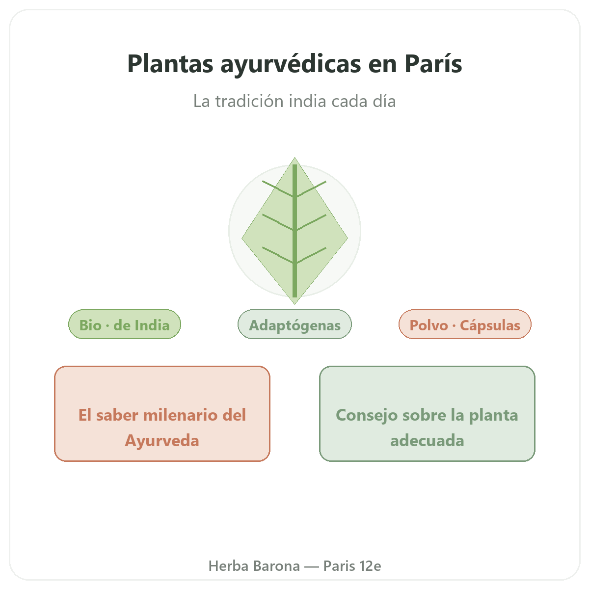 Plantas ayurvédicas en París - presentación de la marca en Herba Barona París 12e