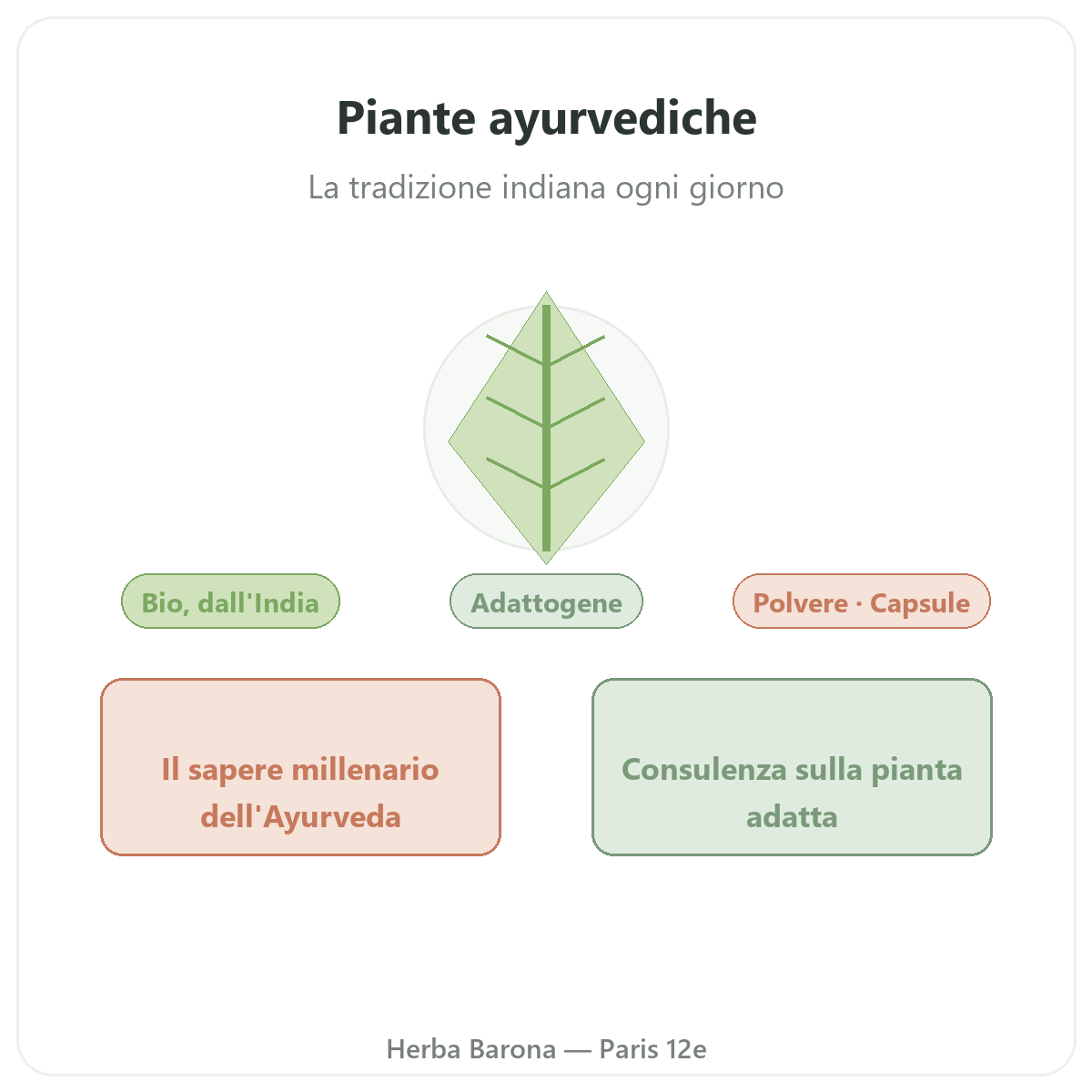 Piante ayurvediche a Parigi - presentazione del marchio da Herba Barona Parigi 12e