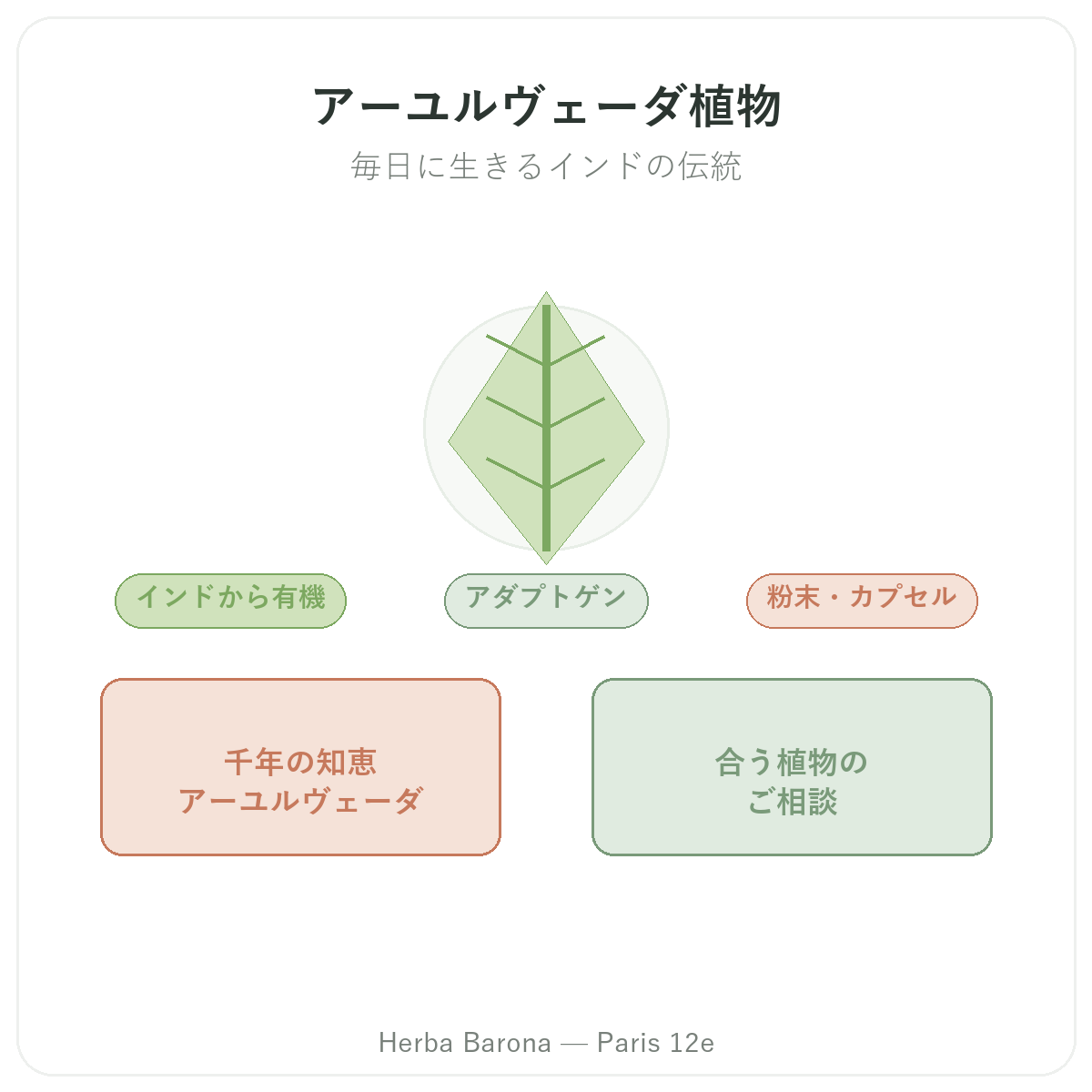 アーユルヴェーダハーブ パリ - Herba Baronaパリ12区でのブランド紹介