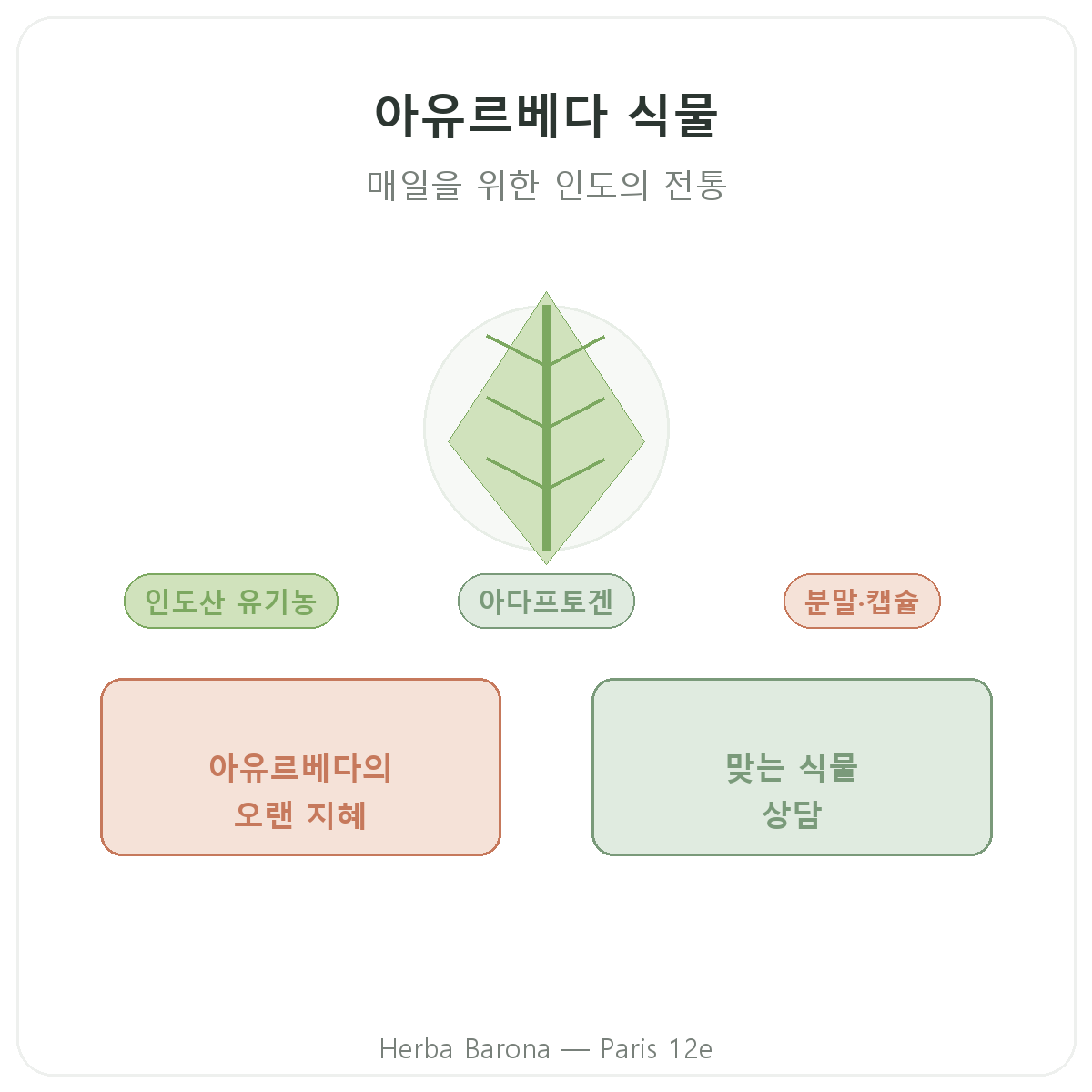 아유르베다 식물 파리 파리 - Herba Barona 파리 12구 브랜드 소개