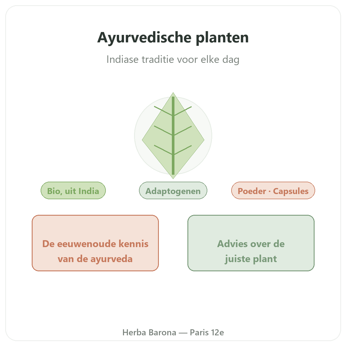 Ayurvedische planten Parijs - voorstelling van het merk bij Herba Barona Parijs