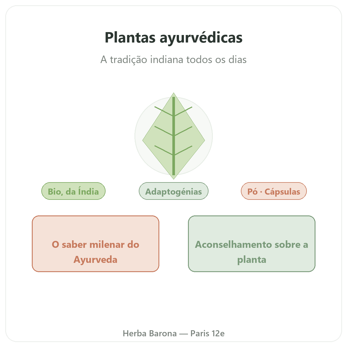 Plantas aiurvédicas em Paris - apresentação da marca na Herba Barona Paris 12e