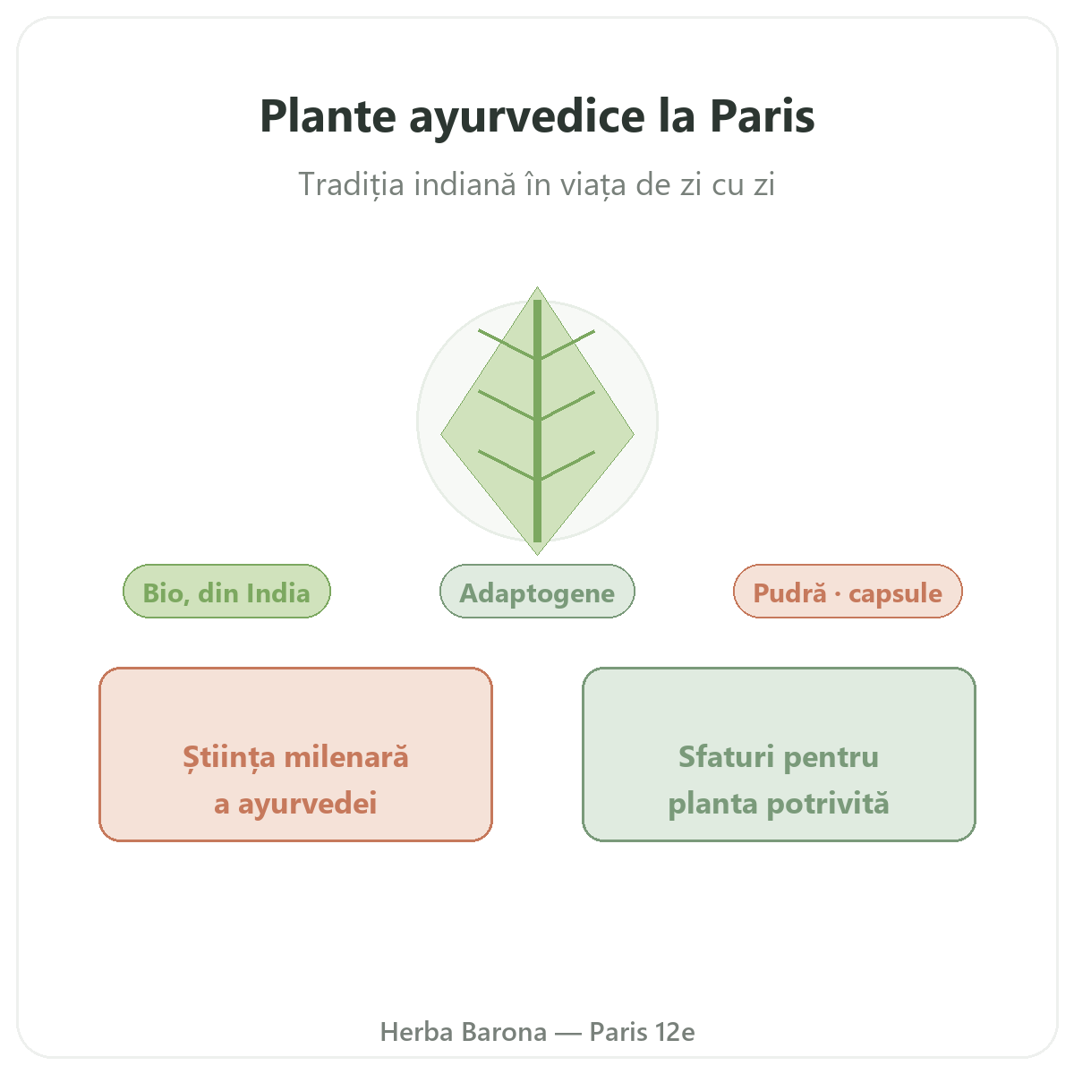 Plante ayurvedice Paris - prezentarea brandului la Herba Barona Paris, arondismentul 12