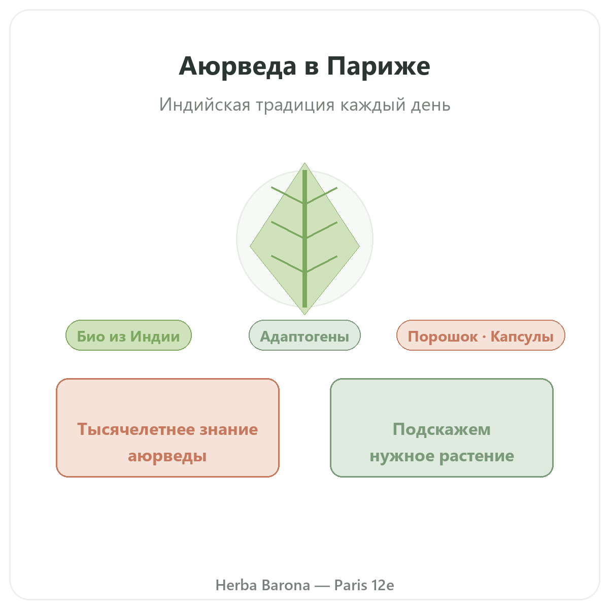 Аюрведические растения Париж — презентация бренда в Herba Barona, Париж, 12-й округ
