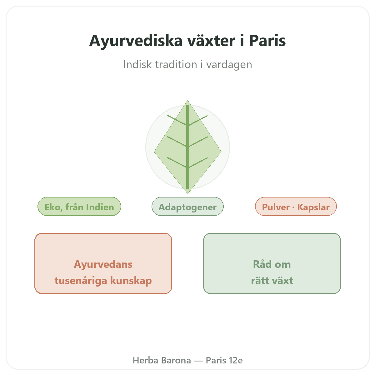 Ayurvediska växter Paris - presentation av varumärket hos Herba Barona Paris 12e