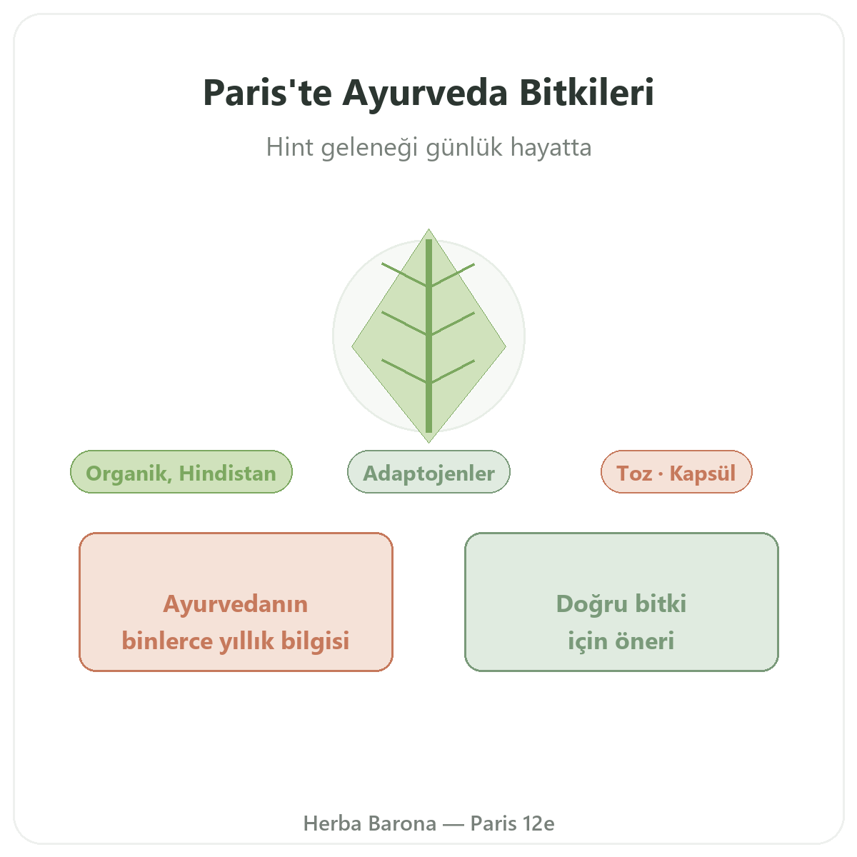 Ayurvedik bitkiler Paris - Herba Barona Paris 12. bölgede marka tanitimi