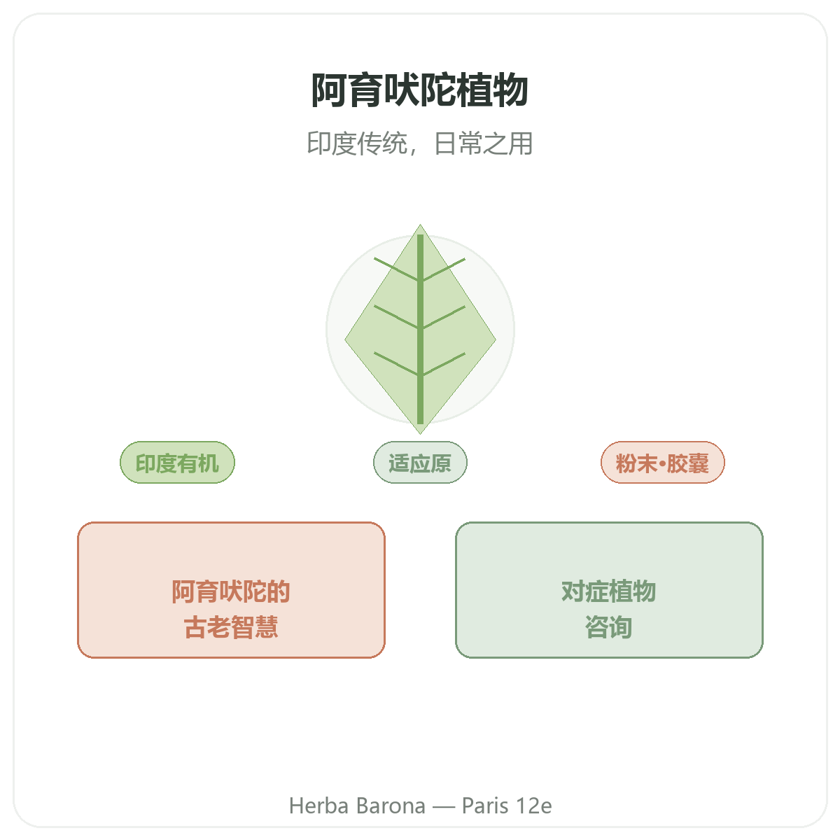 巴黎阿育吠陀草药 —— Herba Barona巴黎12区门店品牌介绍