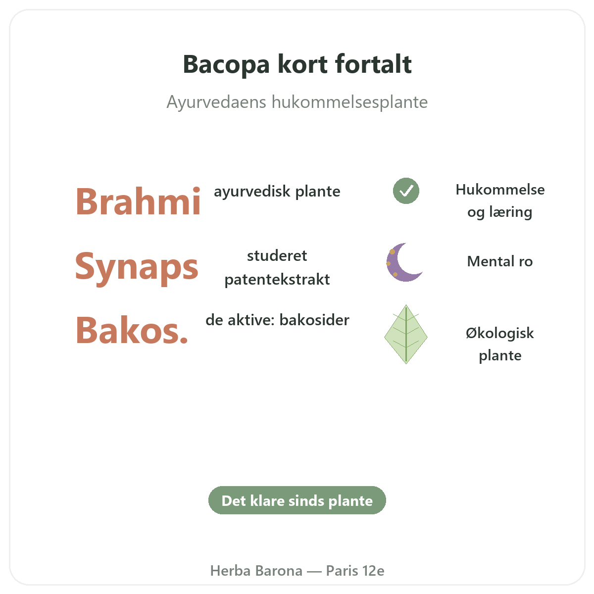 Bacopa Brahmi Paris Paris i korte træk - nøgletal hos Herba Barona Paris 12