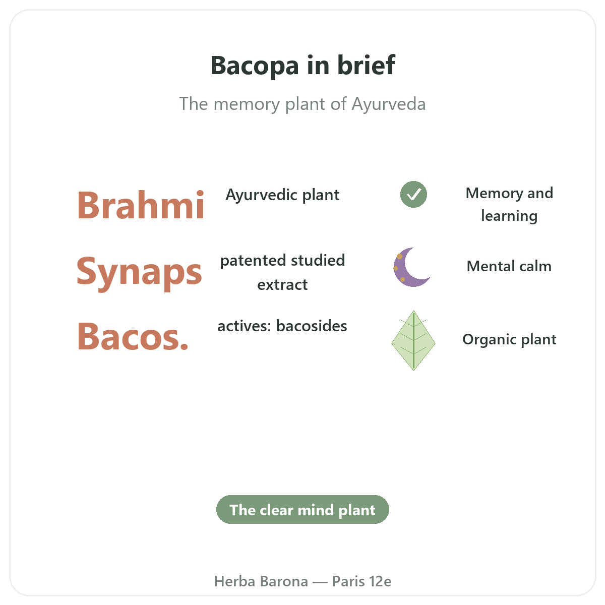 Bacopa Brahmi in Paris at a glance - key figures at Herba Barona Paris 12th