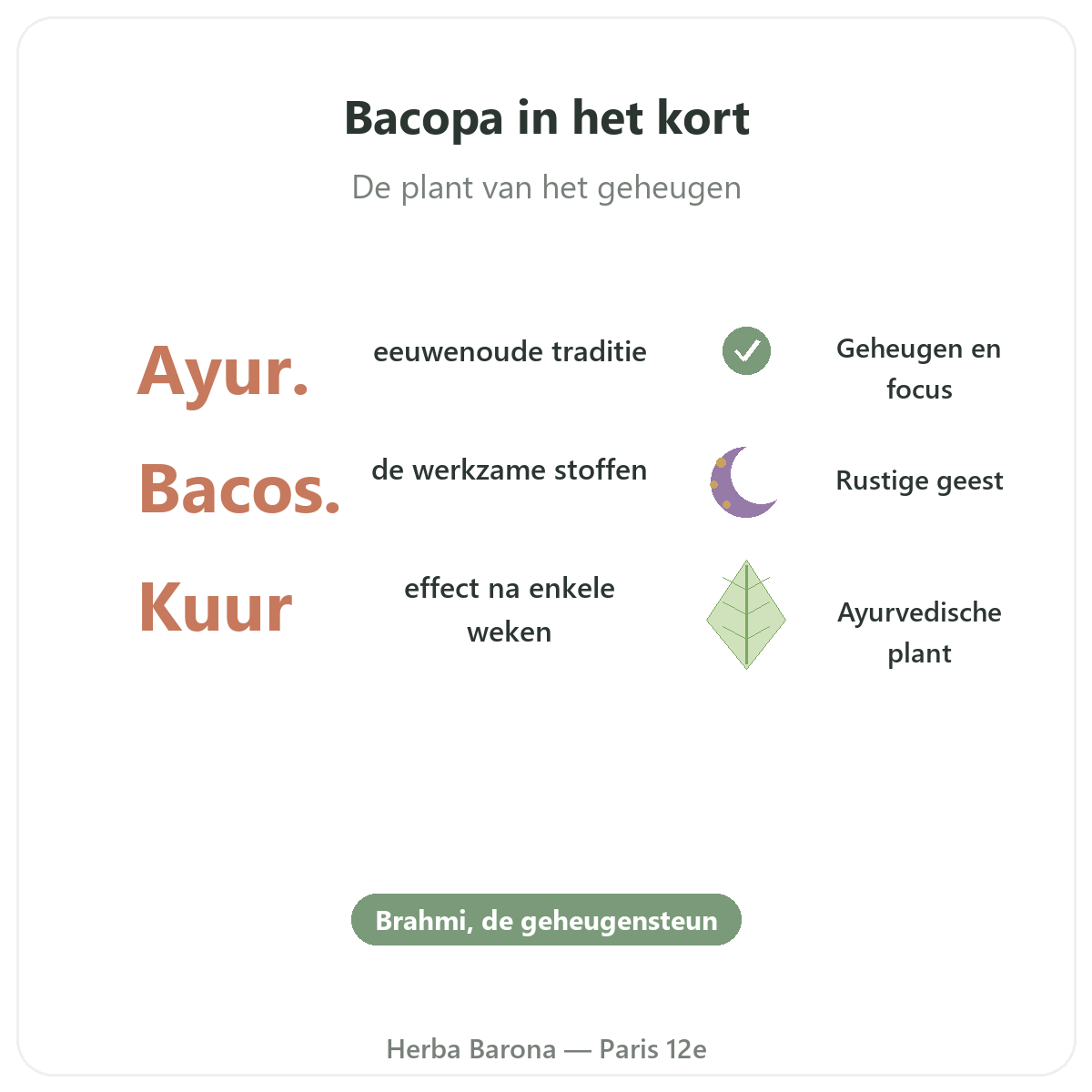 Bacopa Brahmi Paris Paris en bref - chiffres cles chez Herba Barona Paris 12e