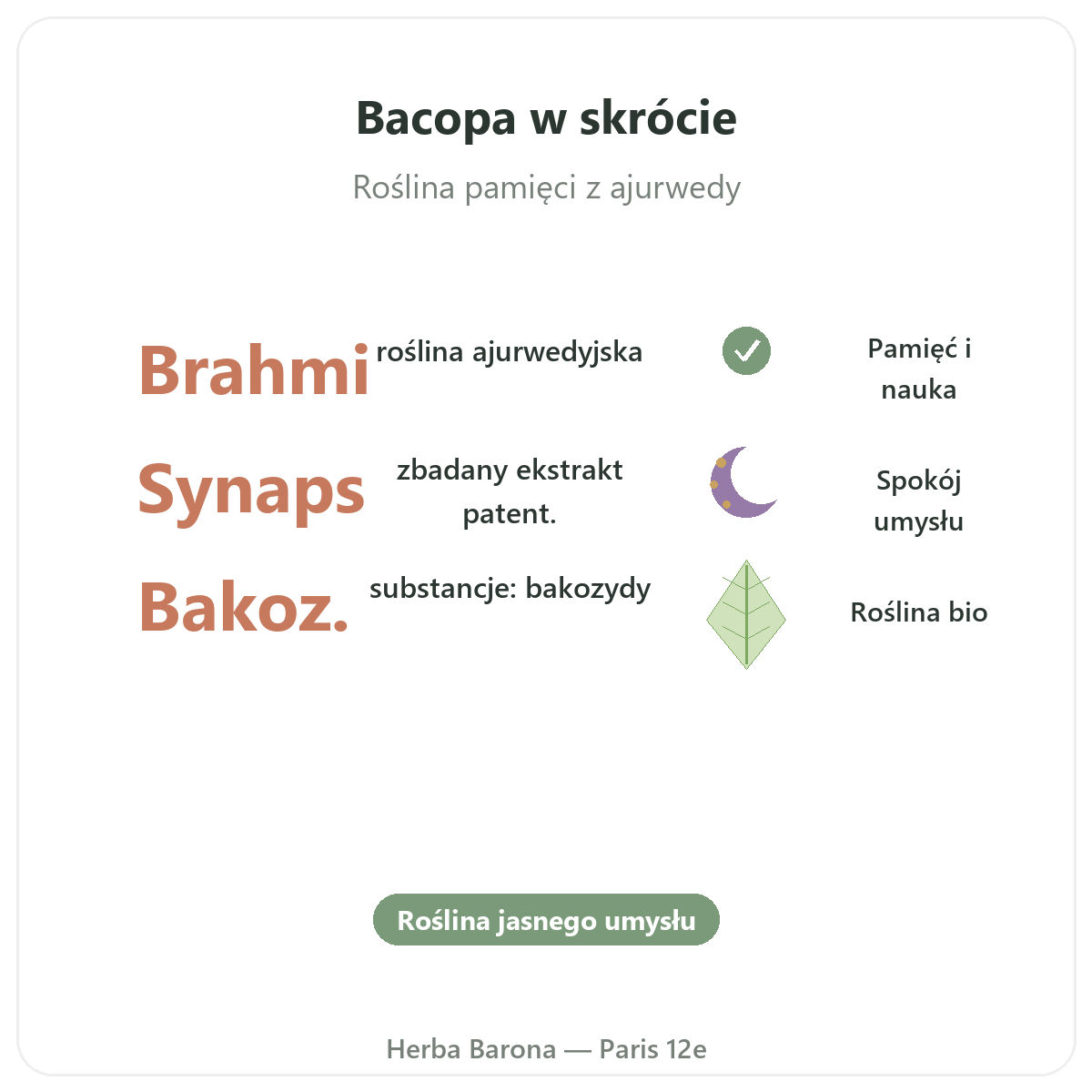 Bacopa Brahmi w skrócie - kluczowe dane w Herba Barona - wysyłka do Polski