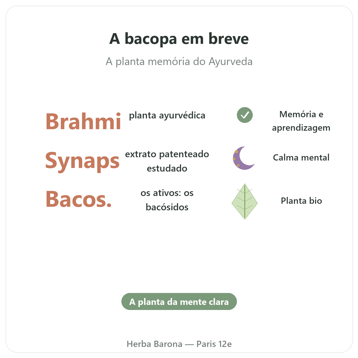 Bacopa Brahmi Paris em resumo - números-chave na Herba Barona Paris 12e