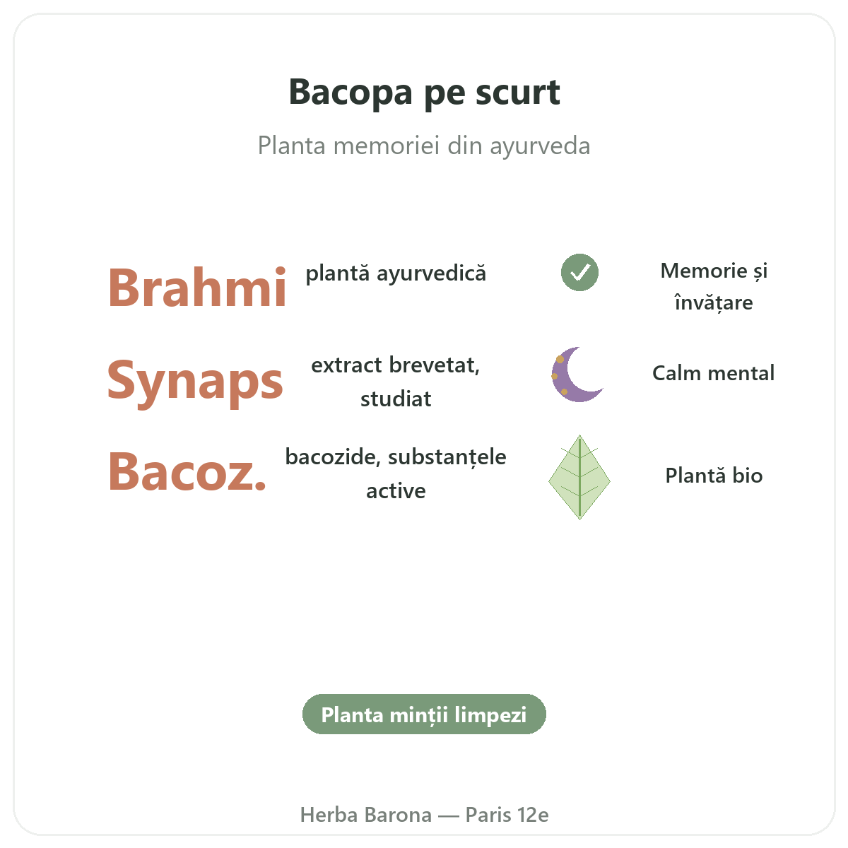 Bacopa Brahmi Paris pe scurt - cifre cheie la Herba Barona Paris 12e