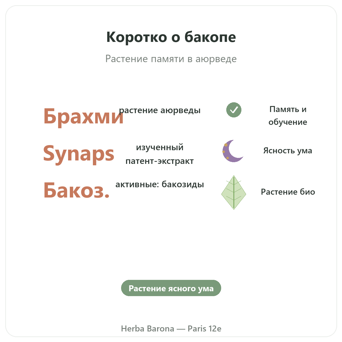 Бакопа Брахми Париж Париж вкратце — ключевые цифры в Herba Barona, Париж, 12-й округ