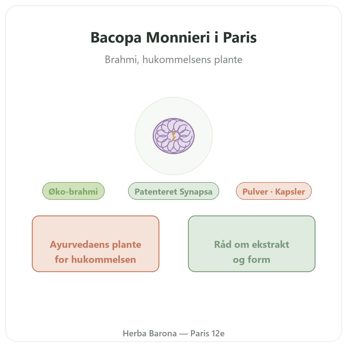 Bacopa Brahmi Paris Paris - præsentation af mærket hos Herba Barona Paris 12