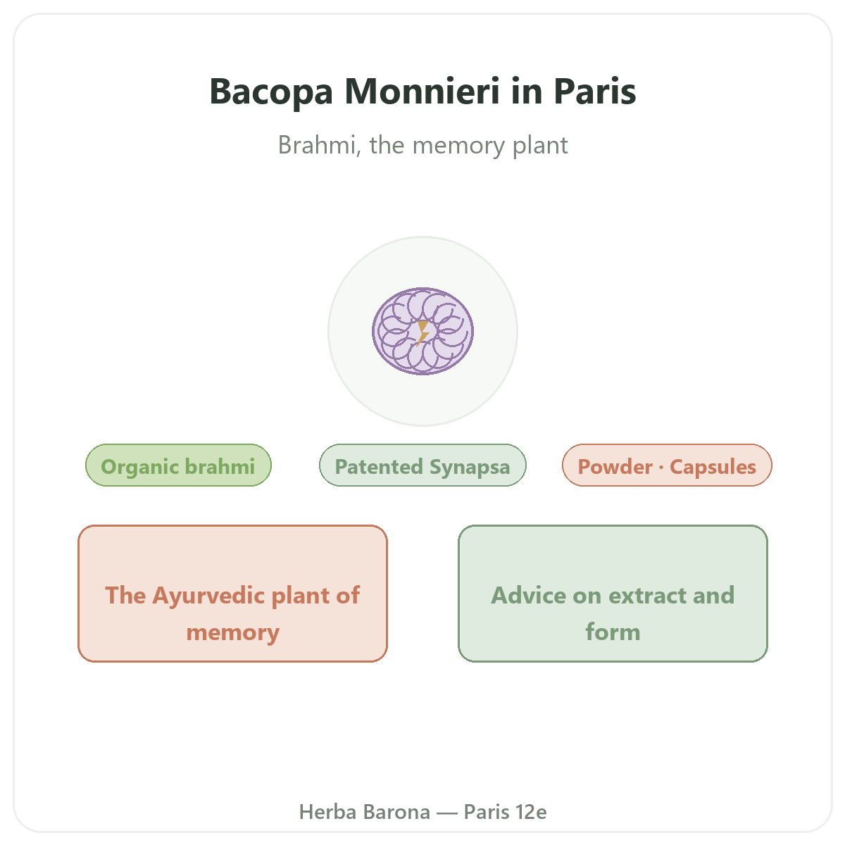 Bacopa Brahmi in Paris - brand overview at Herba Barona Paris 12th