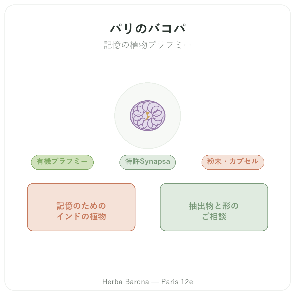 バコパ ブラーミー パリ パリ - Herba Baronaのブランド紹介 パリ12区