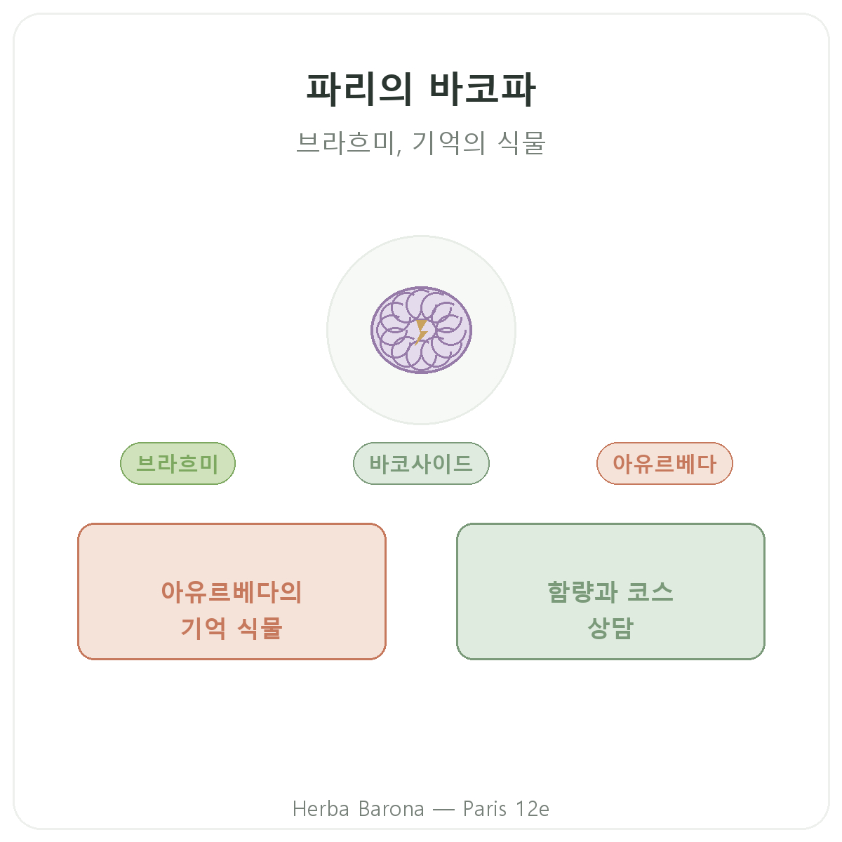 박코파 브라미 파리 - Herba Barona 파리 12구 브랜드 소개