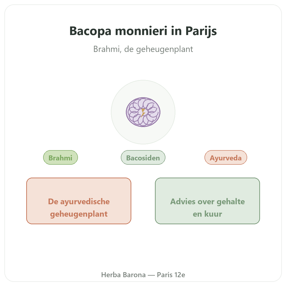 Bacopa Brahmi Paris Paris - presentation de la marque chez Herba Barona Paris 12e