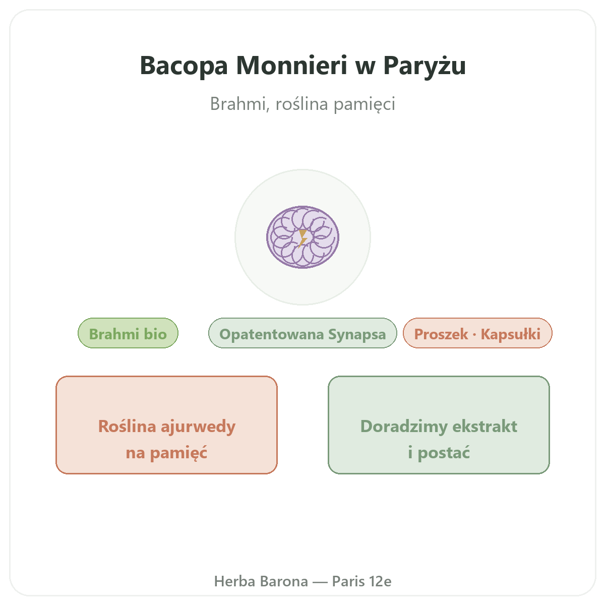 Bacopa Brahmi w Polsce - prezentacja marki w Herba Barona - wysyłka do Polski