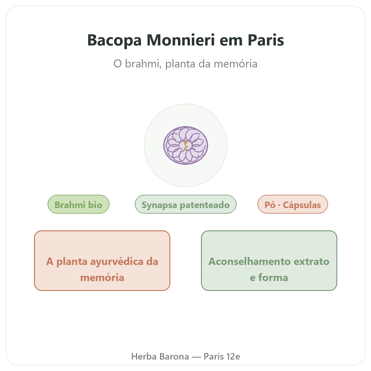 Bacopa Brahmi Paris - apresentação da marca na Herba Barona Paris 12e