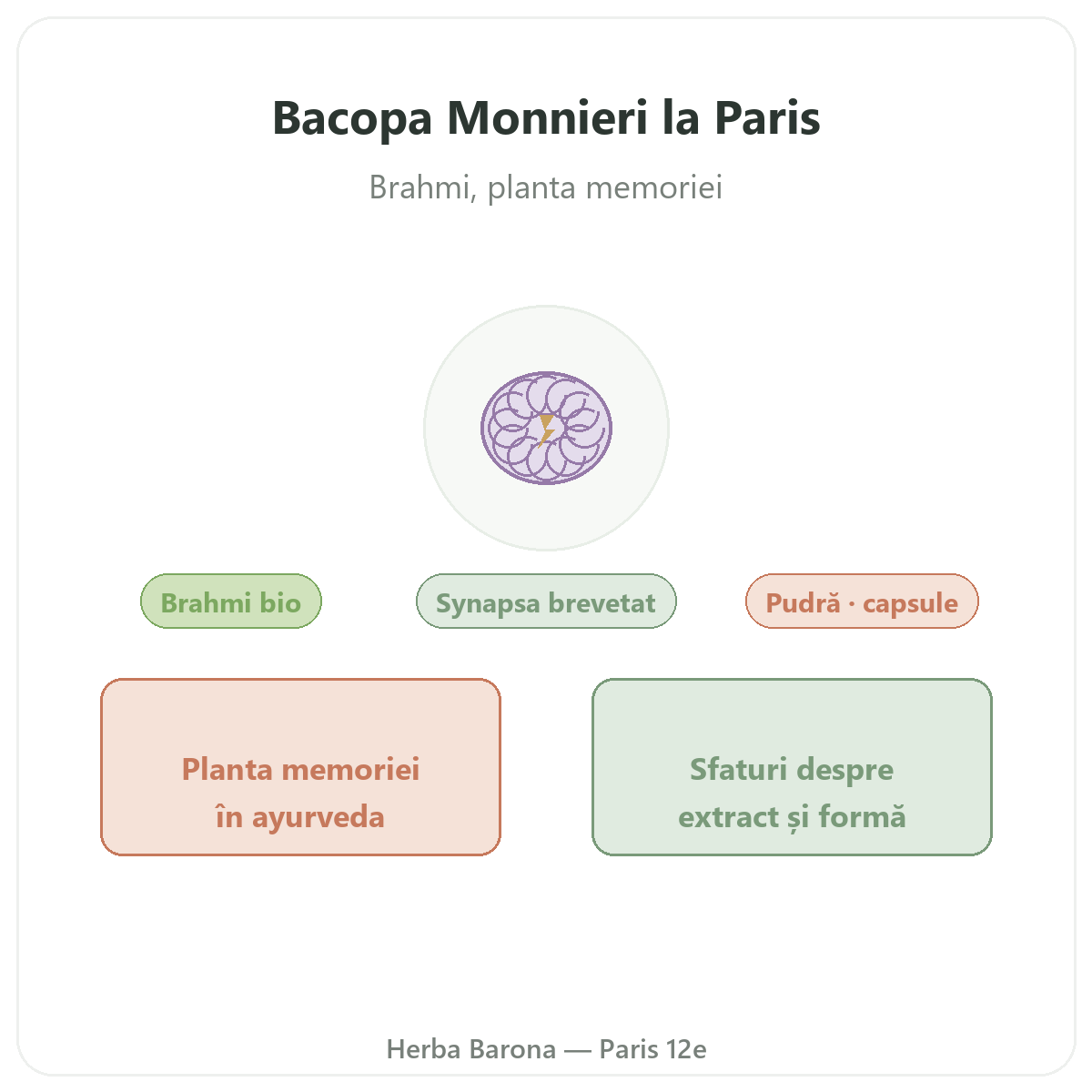 Bacopa Brahmi Paris - prezentarea mărcii la Herba Barona Paris 12e