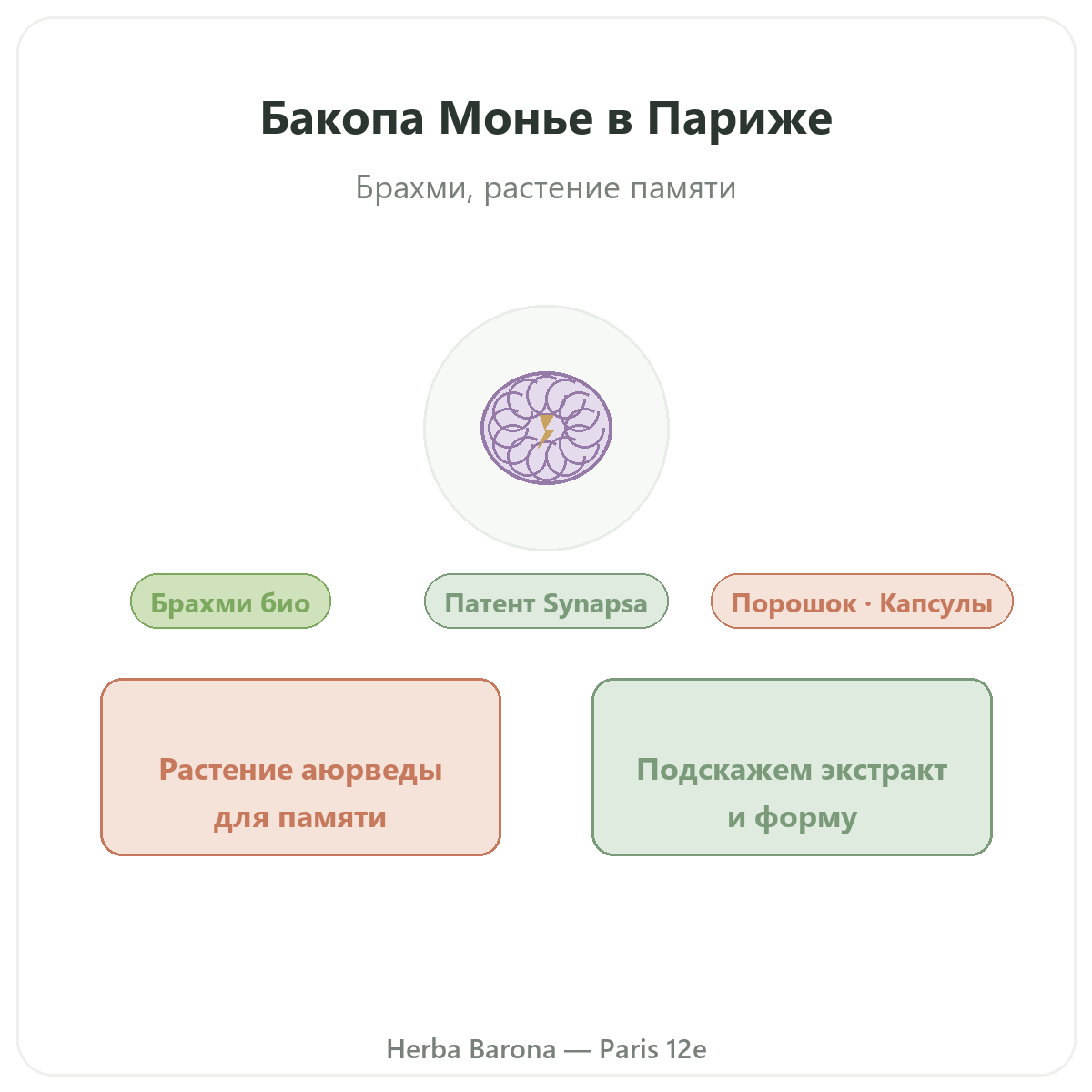 Бакопа Брахми Париж Париж — презентация бренда в Herba Barona, Париж, 12-й округ
