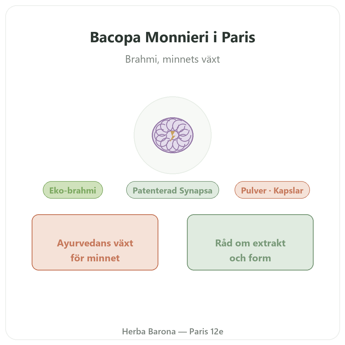 Bacopa Brahmi Paris - produktpresentation hos Herba Barona Paris 12e