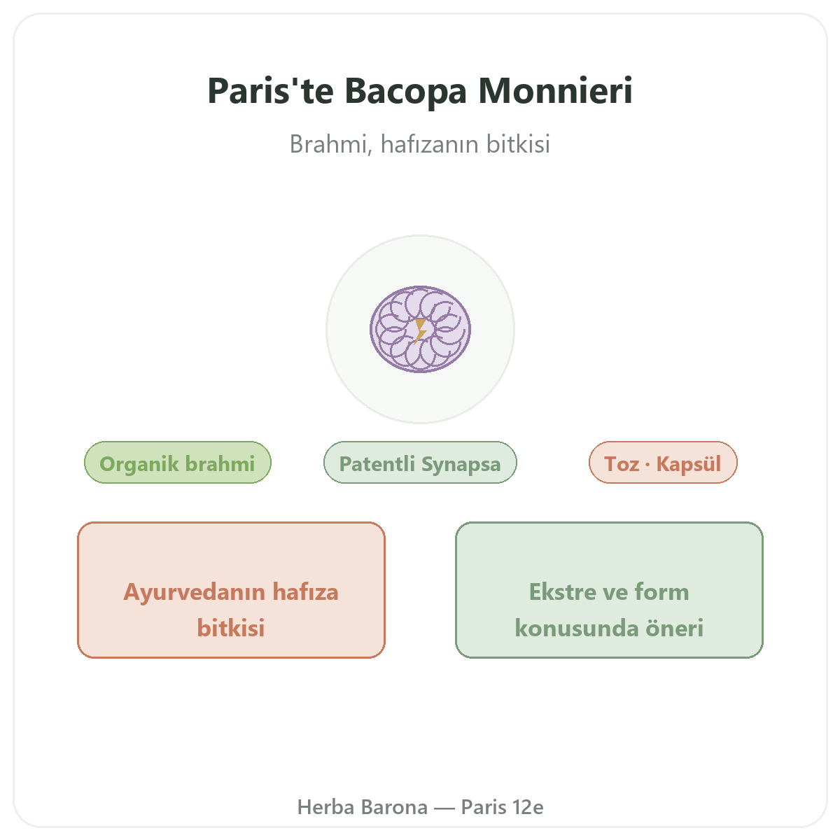 Bacopa Brahmi Paris - markanın tanıtımı, Herba Barona Paris 12. bölge