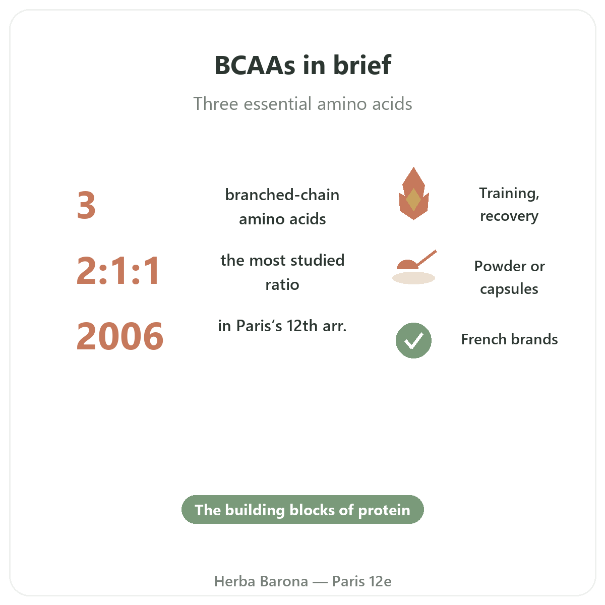 BCAAs in brief - ratios and formats at Herba Barona in Paris