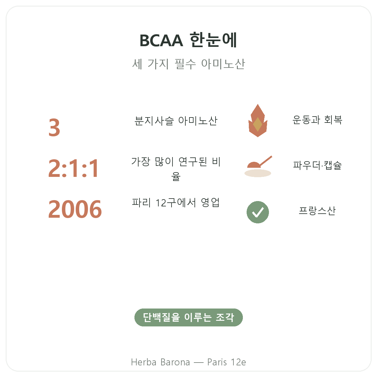 BCAA 한눈에 - 비율과 형태 Herba Barona 파리
