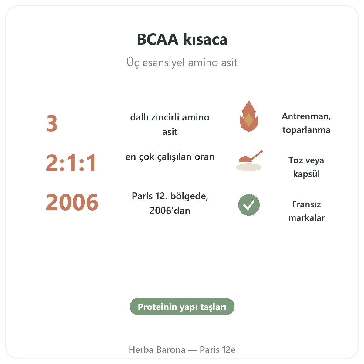 BCAA kısaca - oranlar ve formlar, Herba Barona Paris