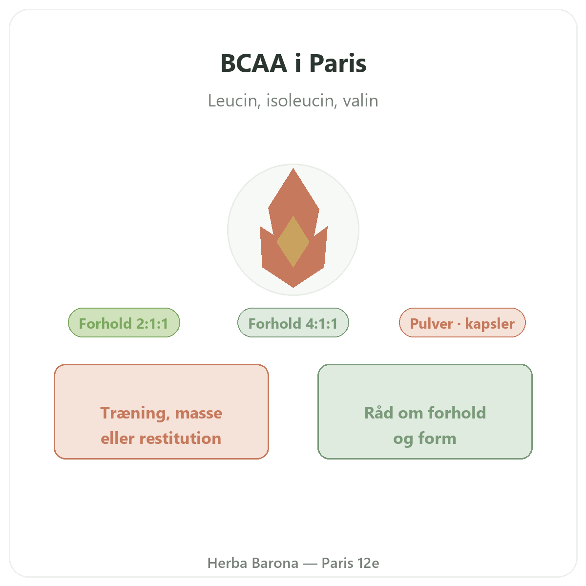 BCAA i Paris - leucin, isoleucin og valin hos Herba Barona Paris 12e