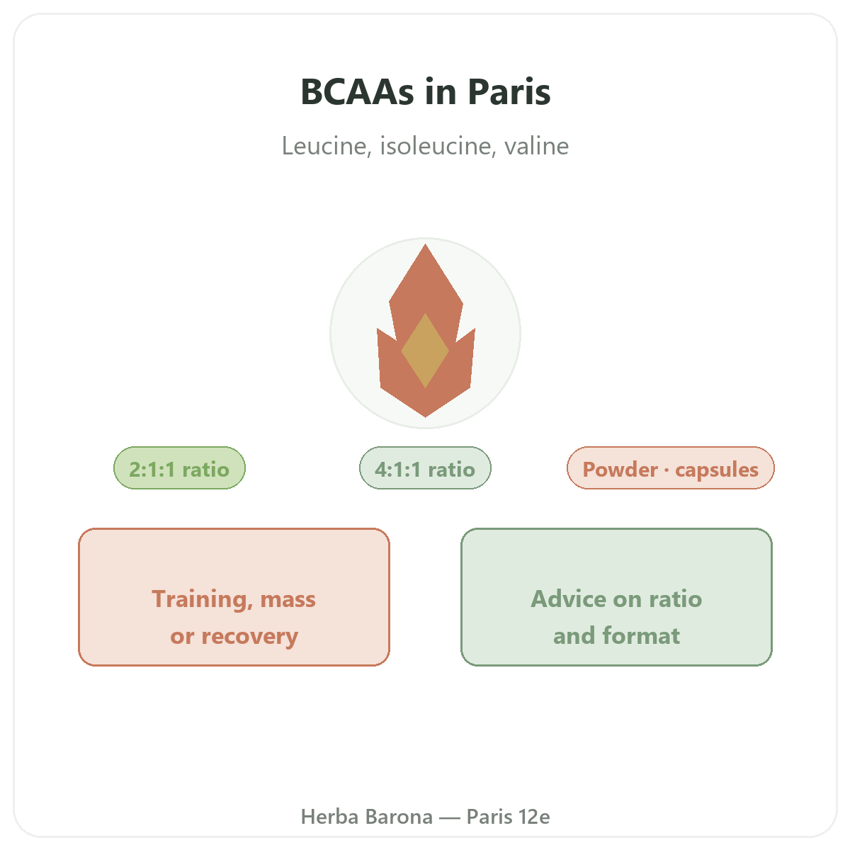 BCAAs in Paris - leucine, isoleucine and valine at Herba Barona Paris 12e