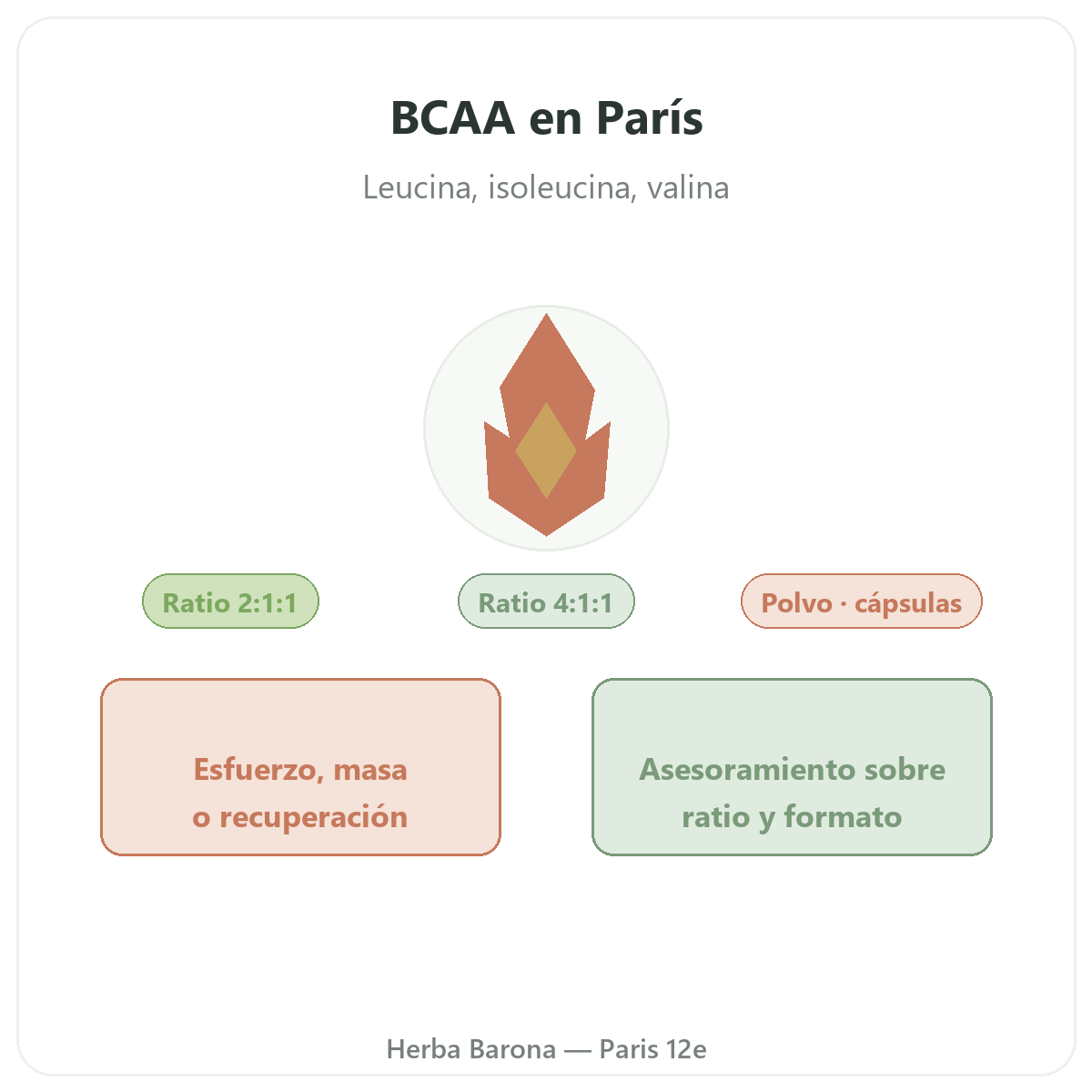 BCAA en París - leucina, isoleucina y valina en Herba Barona París 12e