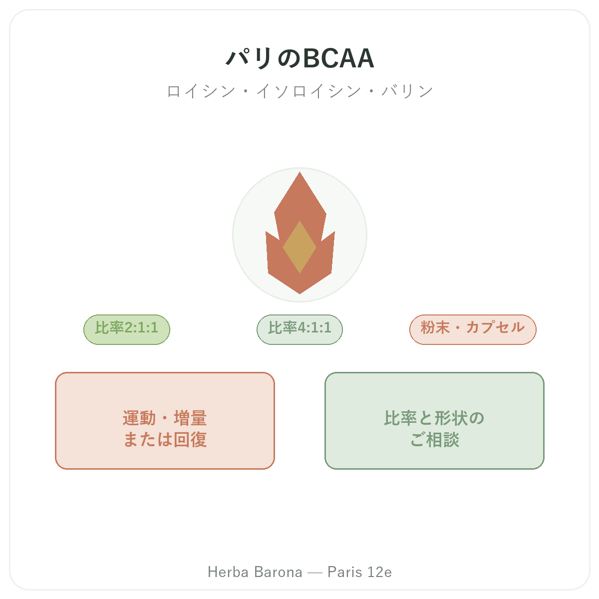 パリのBCAA - ロイシン、イソロイシン、バリン Herba Barona パリ12区