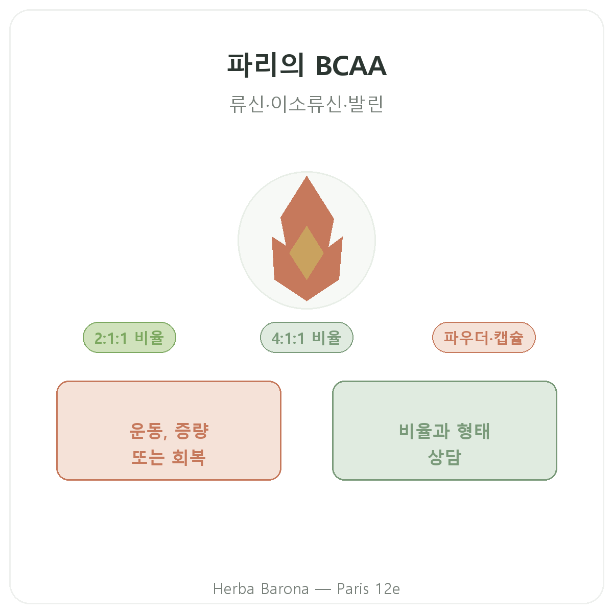 파리의 BCAA - 류신, 이소류신, 발린 Herba Barona 파리 12구