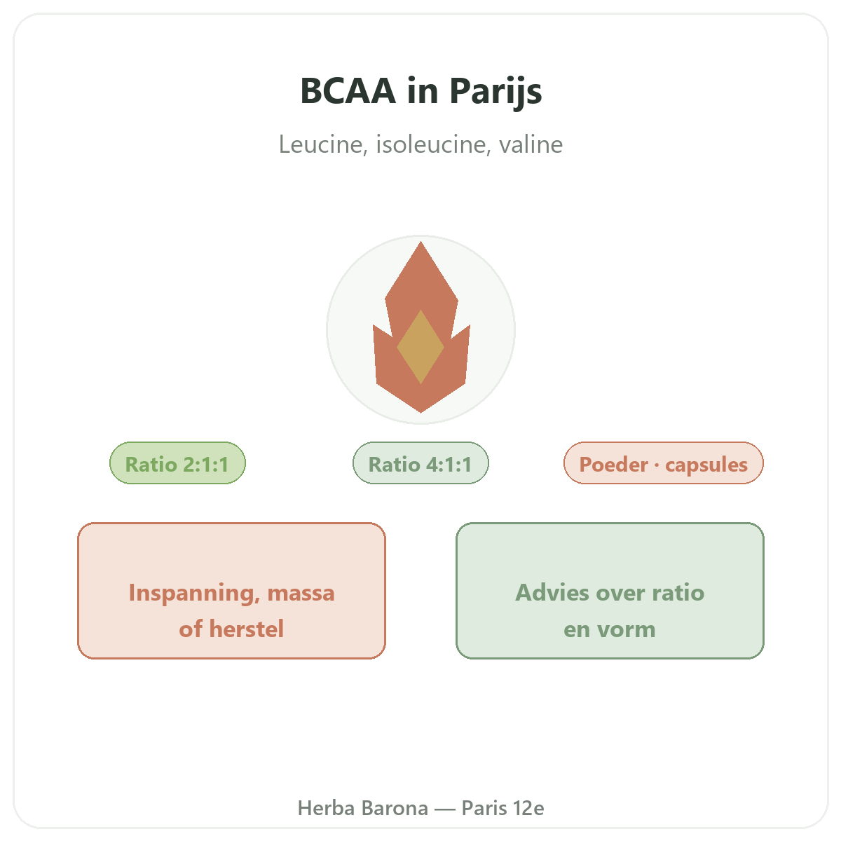BCAA in Parijs - leucine, isoleucine en valine bij Herba Barona Parijs 12e